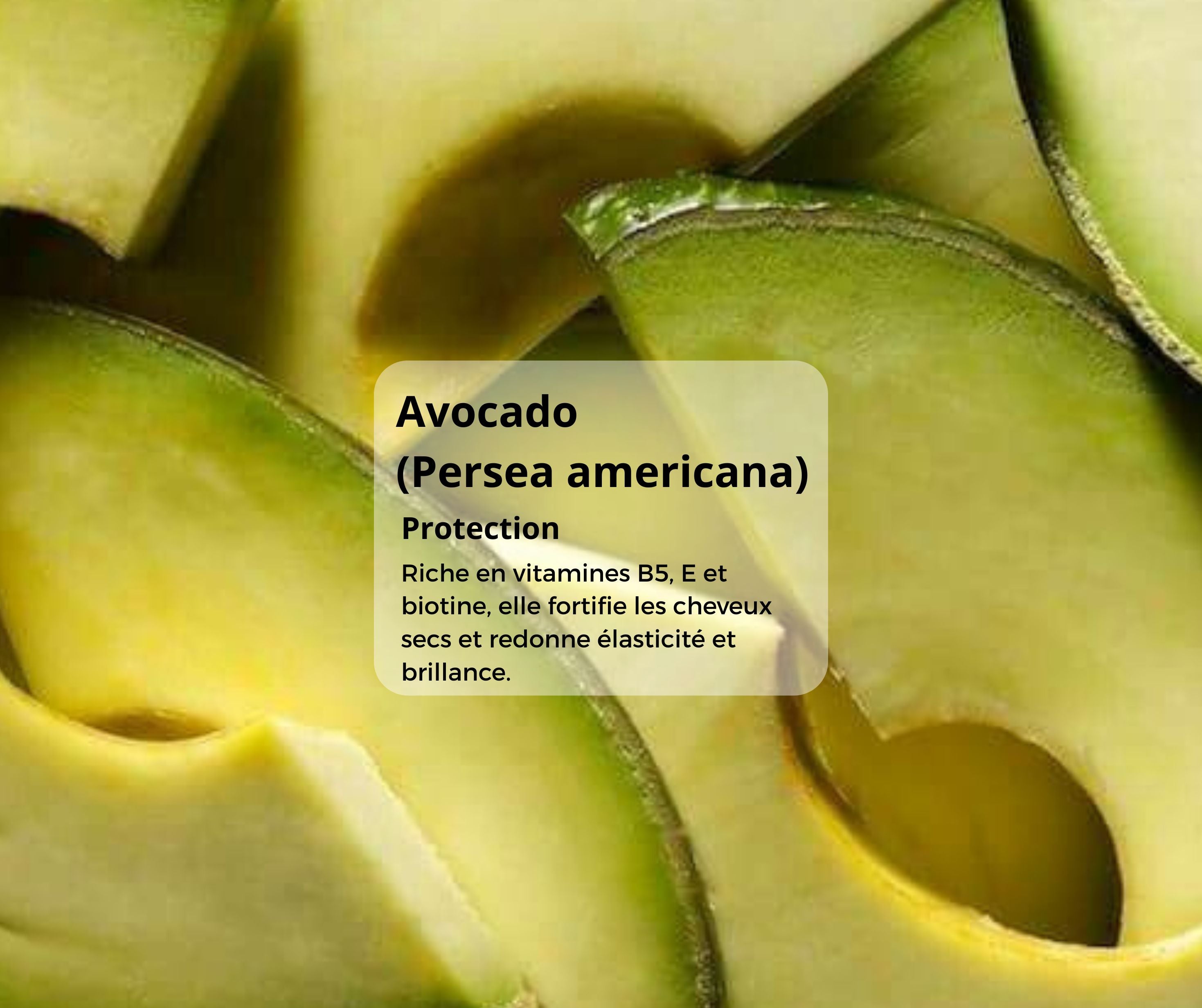 2.jpg__PID:9f2a7fbd-eaac-4199-a727-e9e21ce91b92