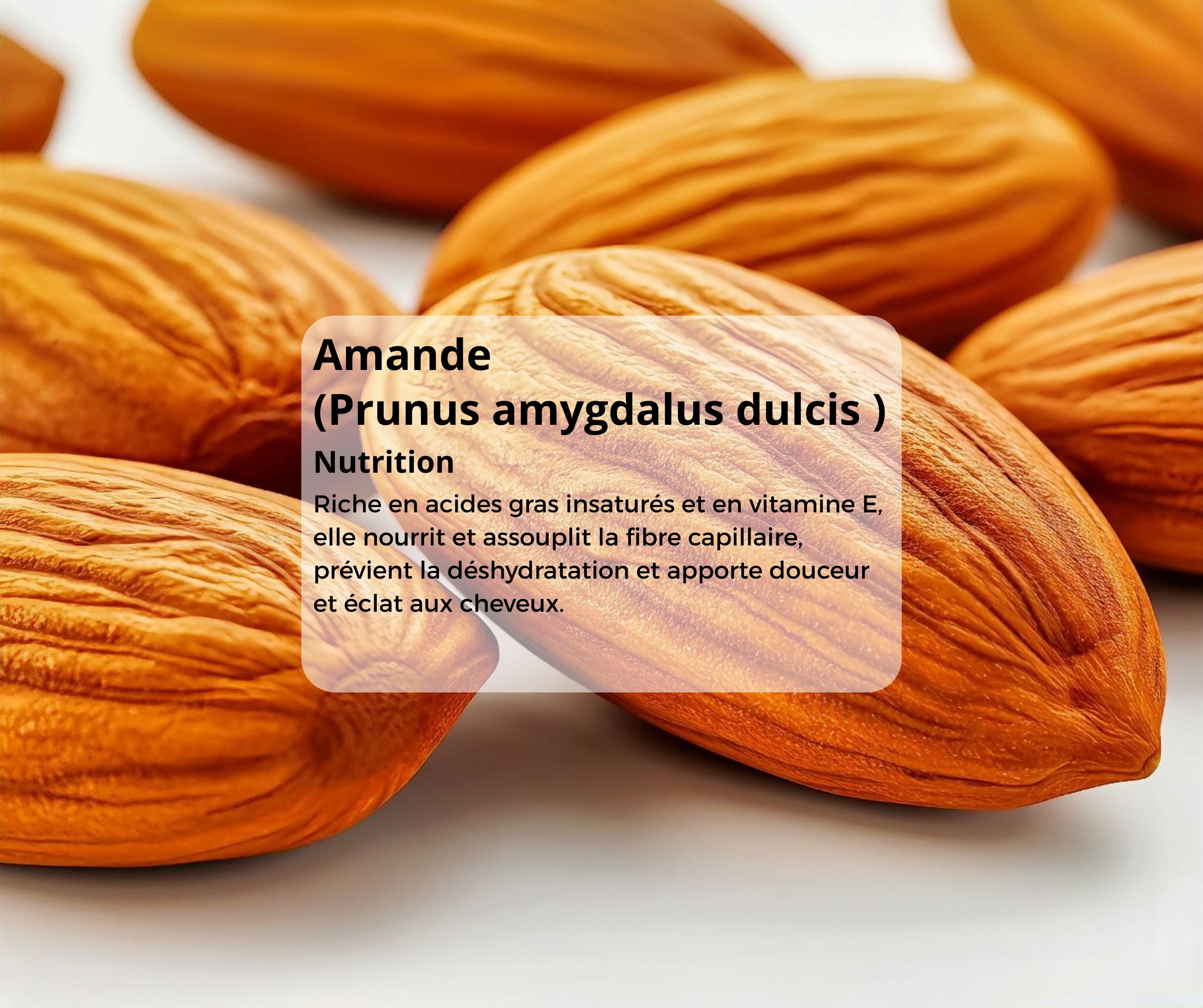 4.jpg__PID:7fbdeaac-7199-4727-a9e2-1ce91b92cc8f